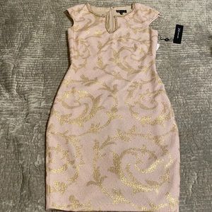 Jax black label soft pink and gold mini dress